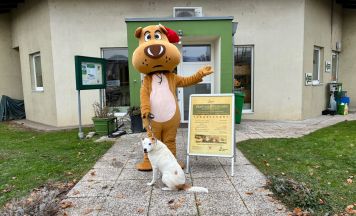 Weihnachtszauber kehrt ins Neuhofner Tierheim