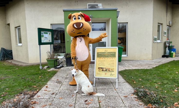 Das Linzer Tierheim freut sich auf viele Besucher. (Foto: Tierheim Linz)