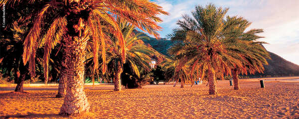 Kanarische Inseln & Madeira